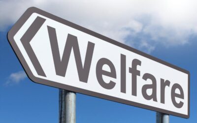 Legge di bilancio 2023: incentivi e misure per il lavoro