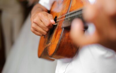 ALAS spettacolo respinta: come fare ricorso